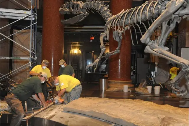 Workers cut through the exhibit base last night
